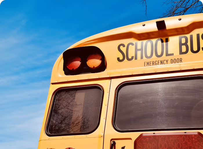 Close-up of the rear of a classic yellow school bus: red emergency lights above "SCHOOL BUS" lettering, "EMERGENCY DOOR" text, tinted windows, and red stop sign arm against a bright blue sky with bare tree branches.