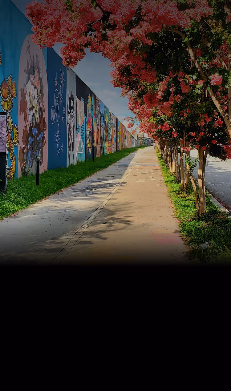 Sidewalk bordered by a colorful mural wall on the left and flowering trees with pink blossoms on the right under a blue sky.