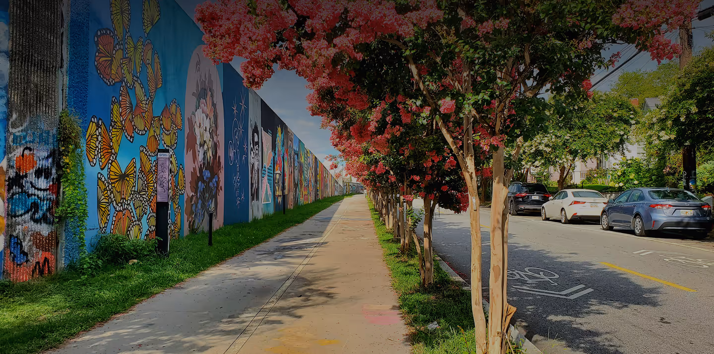 Sidewalk lined with pink flowering trees alongside a colorful mural wall and parked cars on the street.