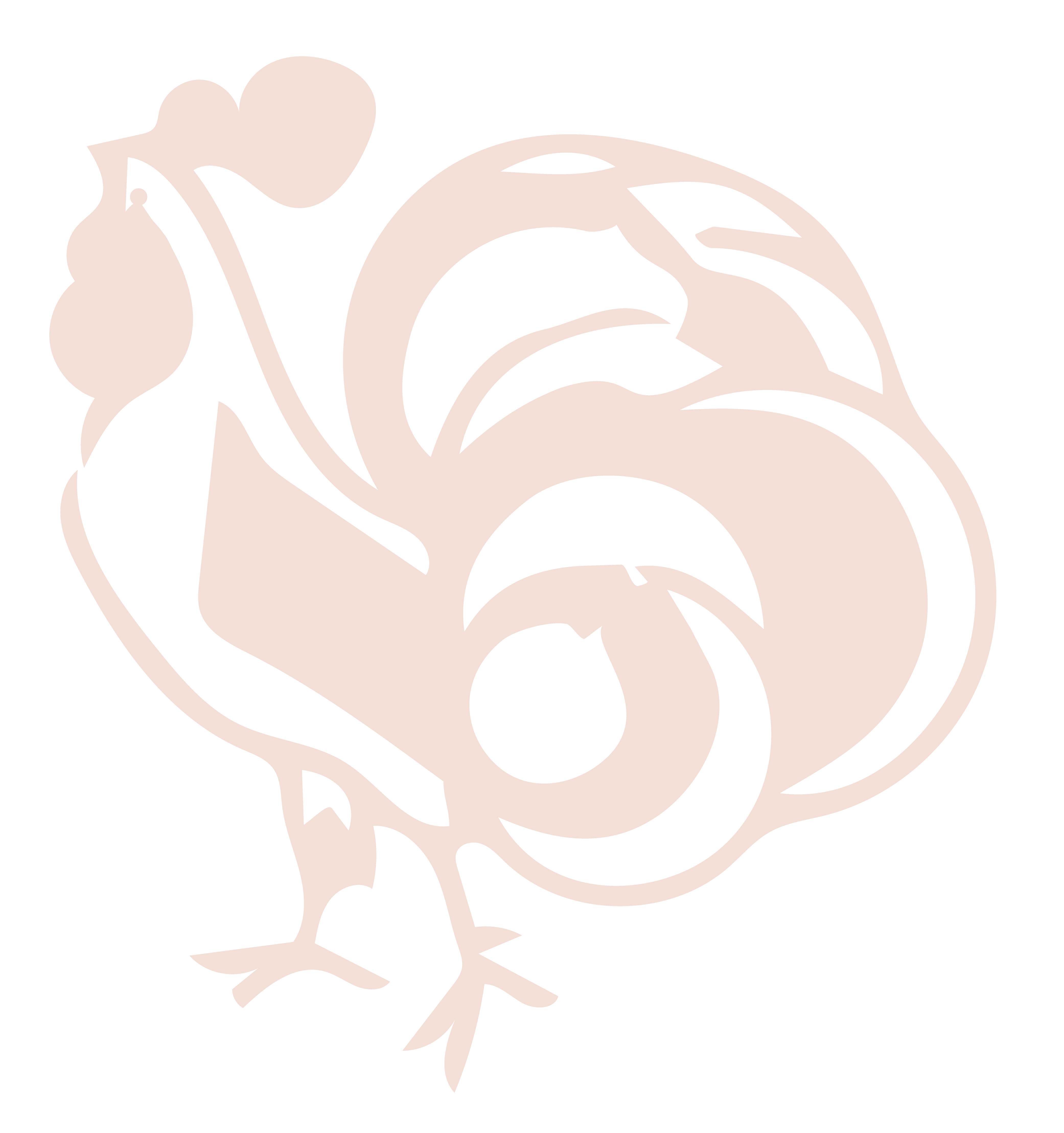 VVF Rooster Illustration