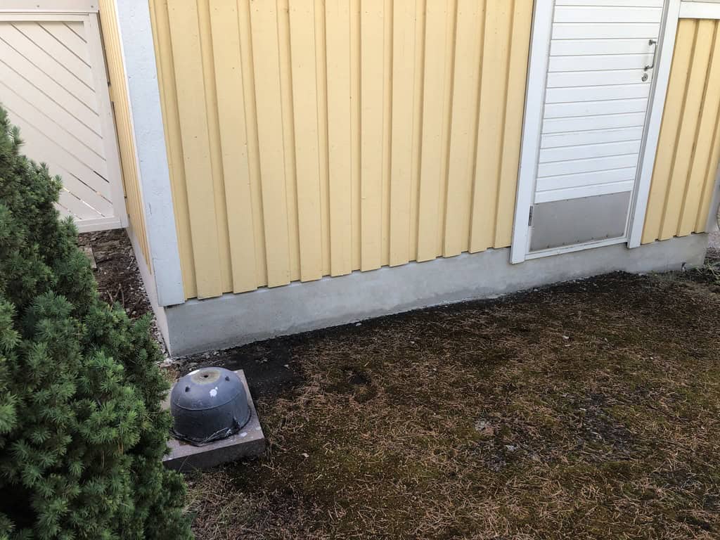 Ulkorakennuksen keltainen seinä, valkoinen ovi ja vihreä pensas aurinkoisessa säässä.