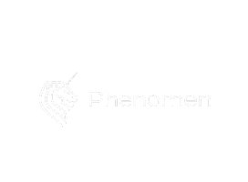 Phenomen