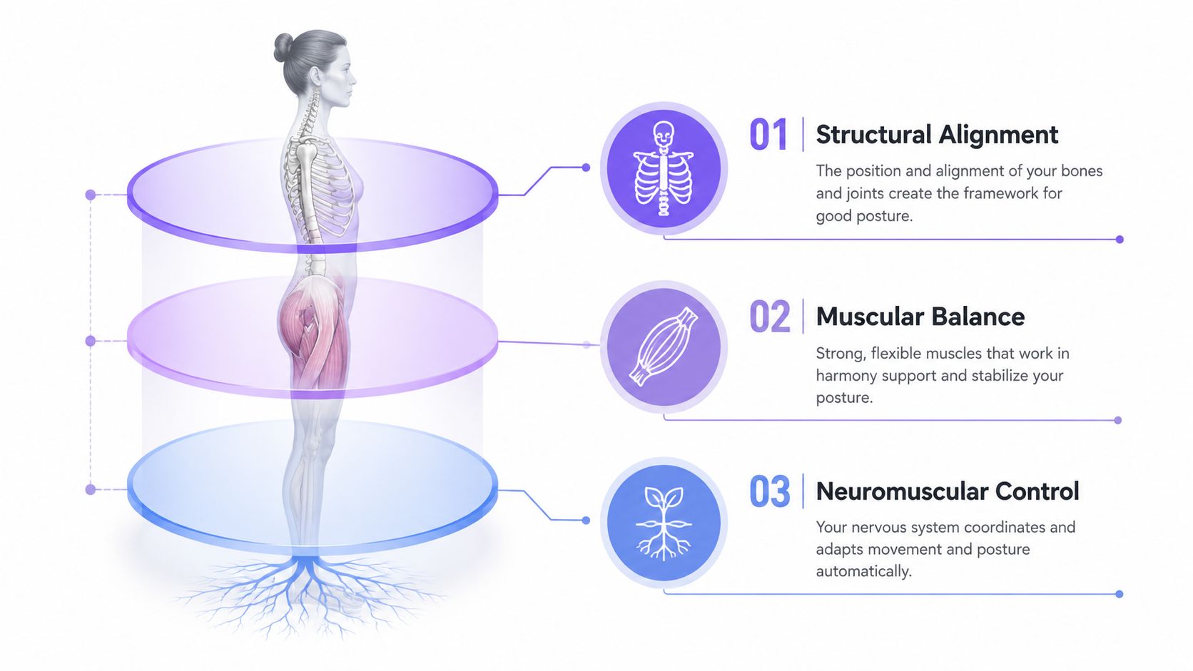 A diagram illustrating the three components of posture: structural alignment, muscular balance, and neuromuscular control.