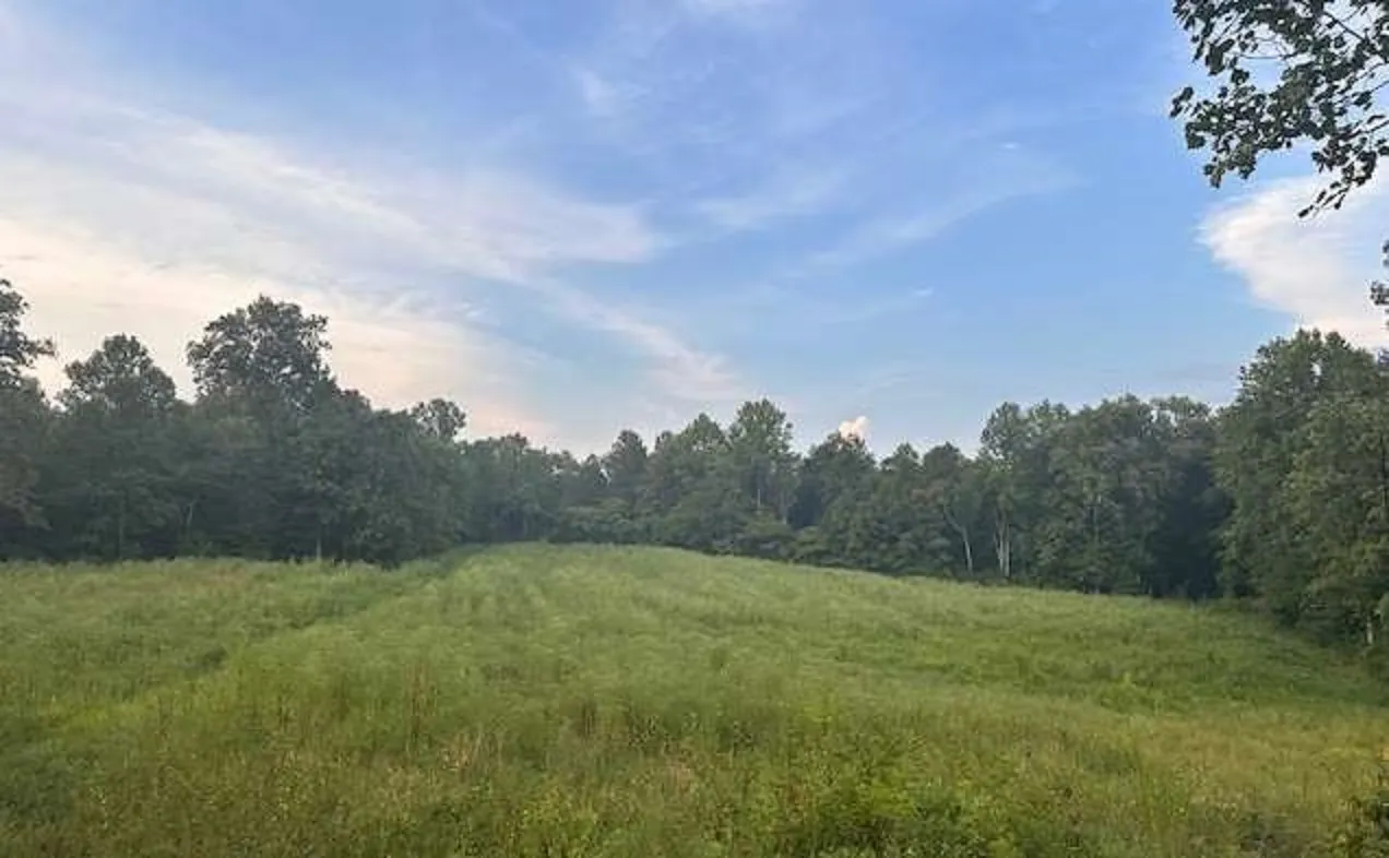 1705 Jones School Road