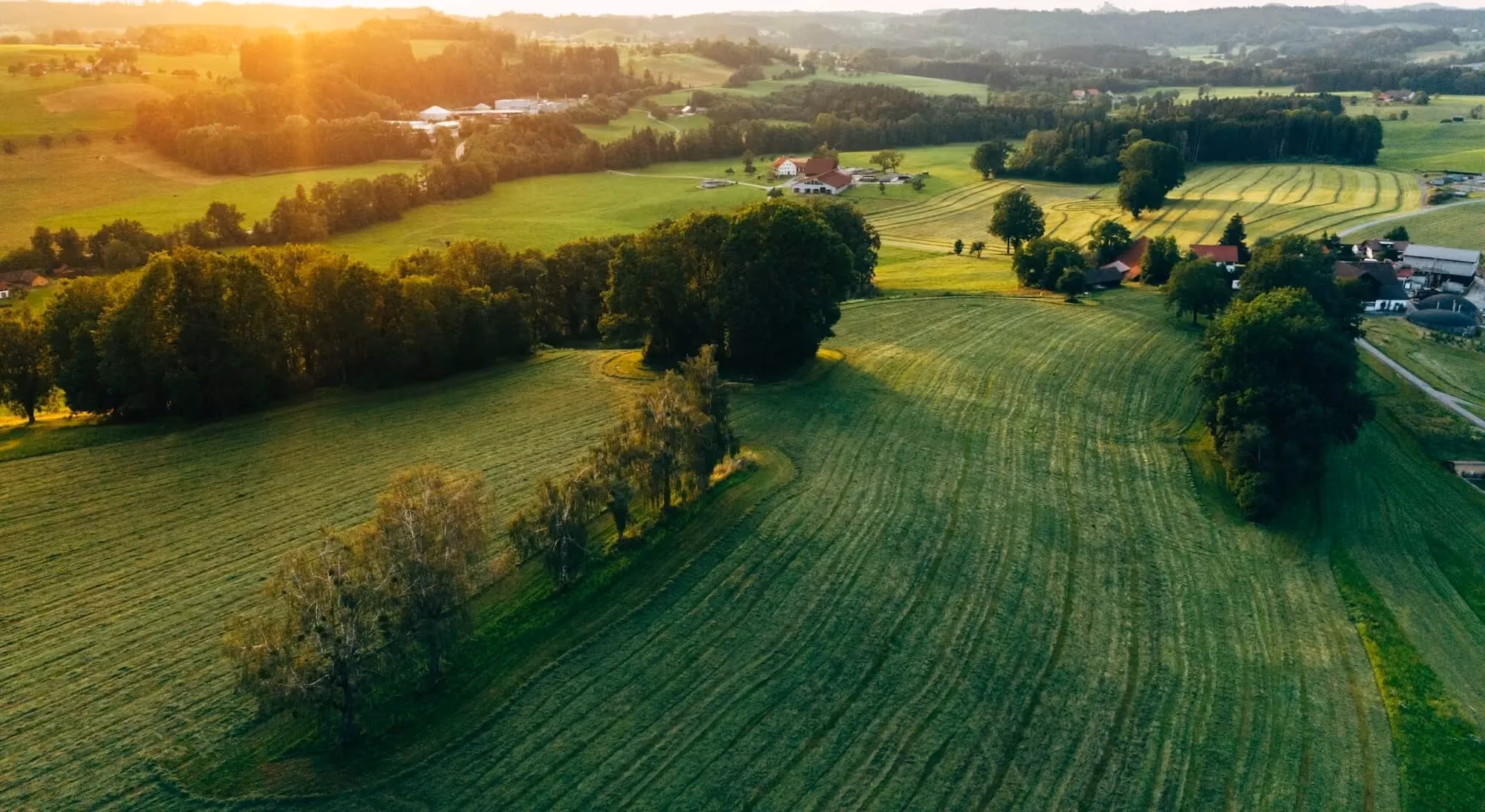 Land & Lot