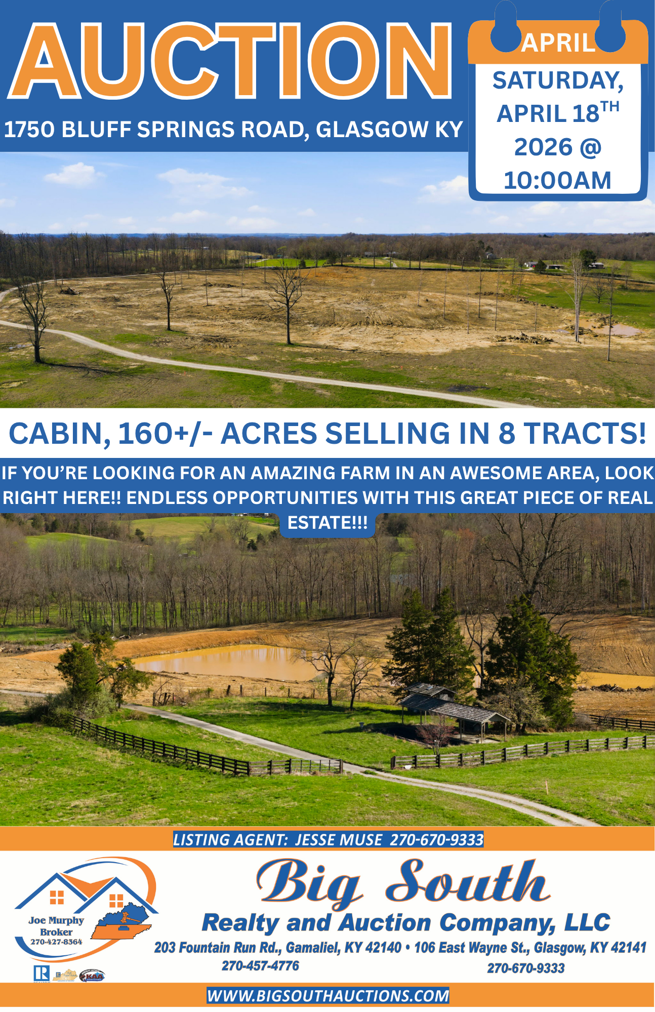 Live Auction - Bluff Springs Road