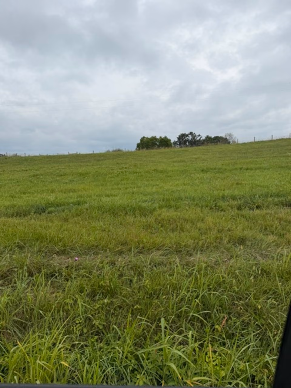 Lot 2 Head Road
