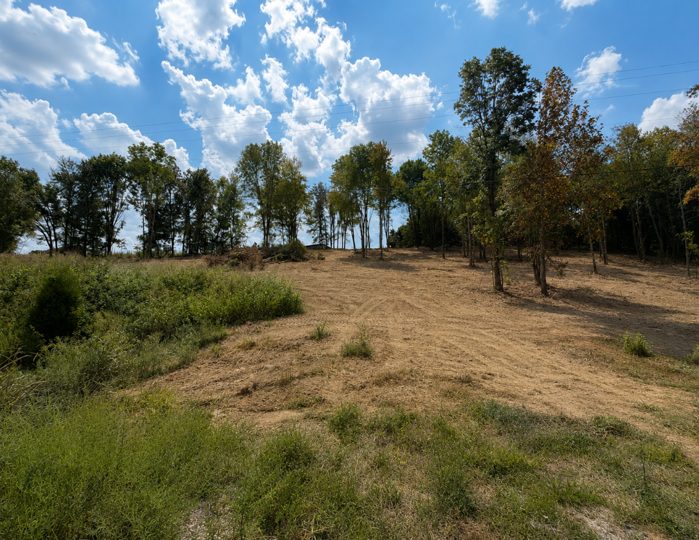 Lot 8 Burkesville Road