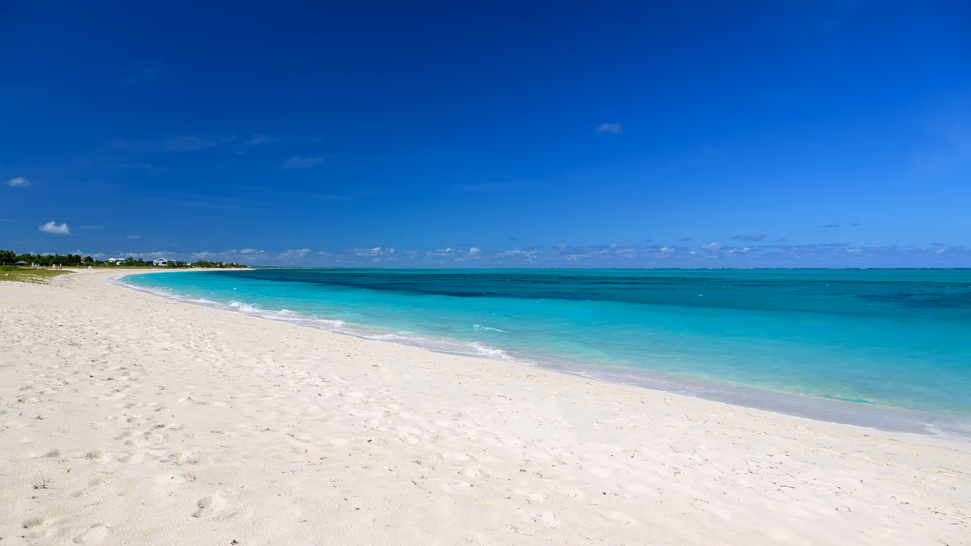 Island House LVM team members participating in a community beach cleanup in Turks and Caicos.