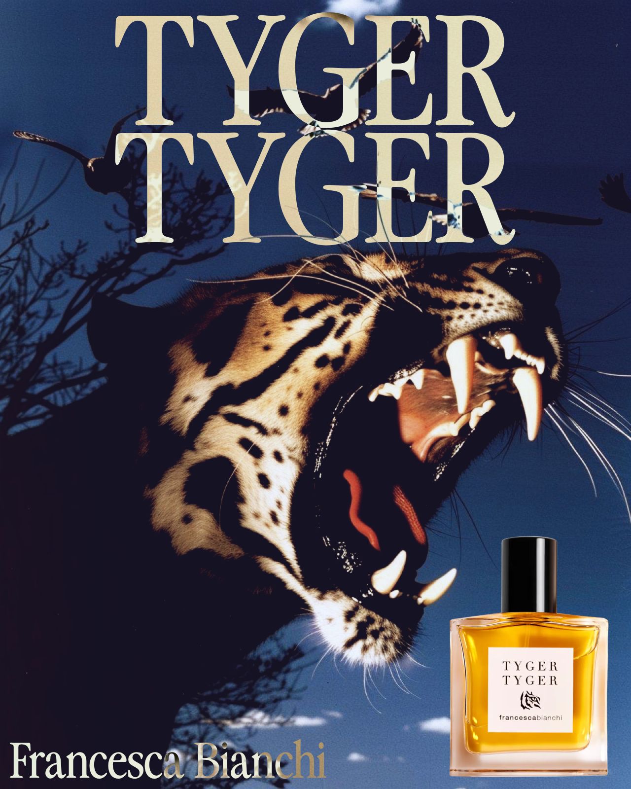 Roaring tiger head against a dark blue sky with the words 'TYGER TYGER' and a bottle of Tyger Tyger perfume by Francesca Bianchi.