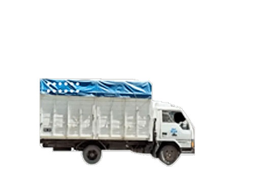 Standard mover