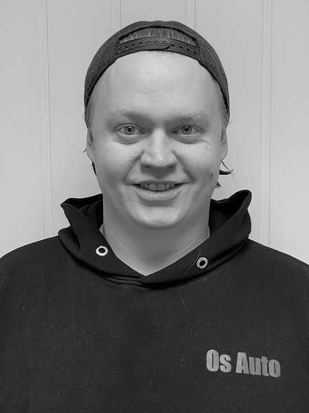 image of humanitarian aid distribution by volunteers