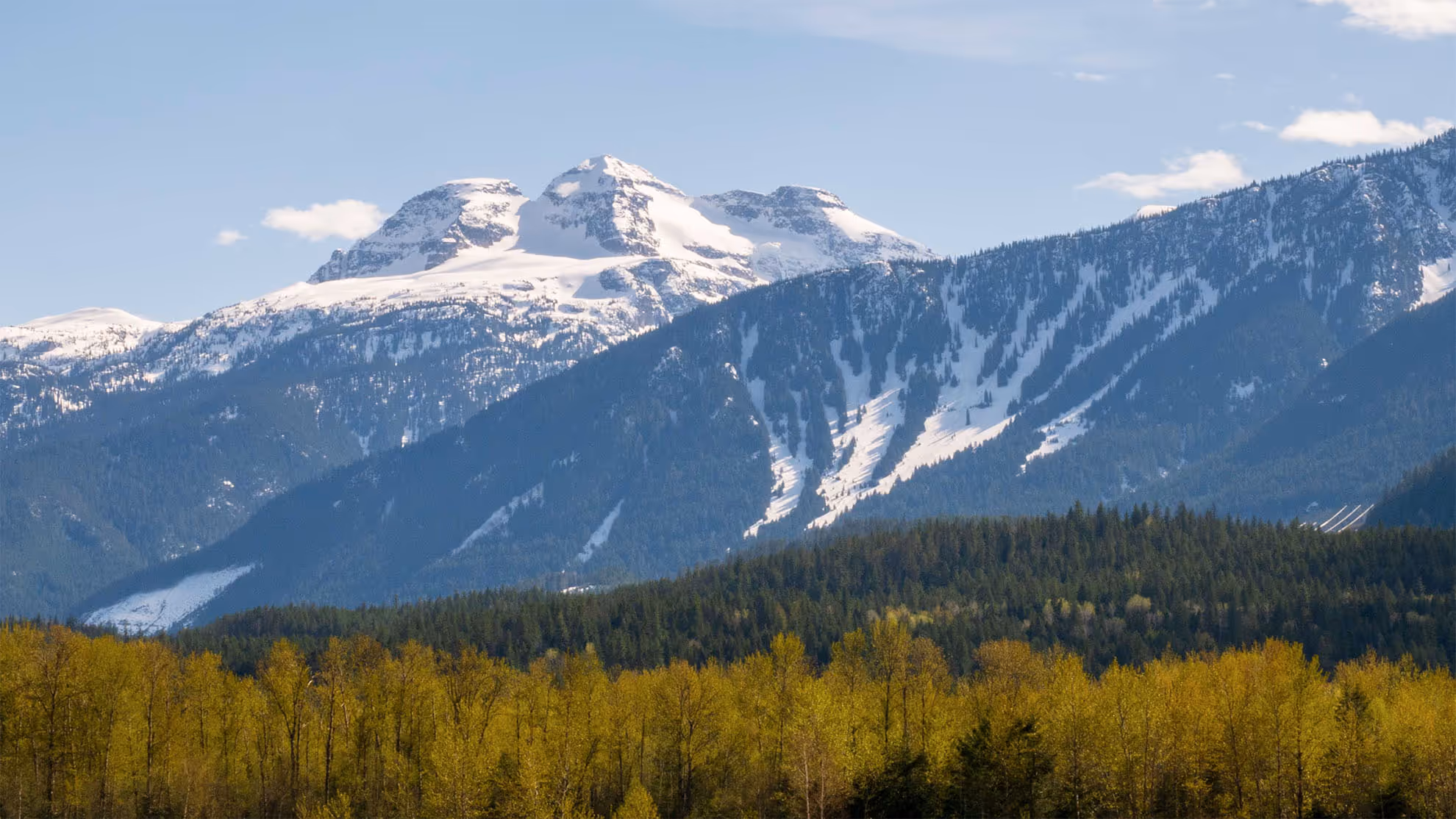 Snow-covered mountain peaks above dense forest with green and yellow autumn trees under a blue sky.