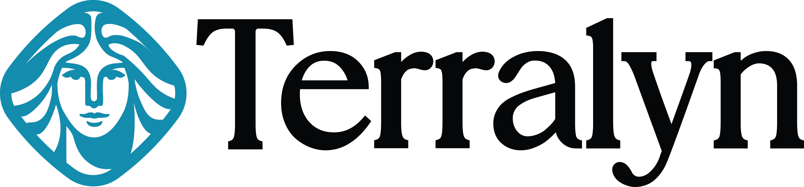 Terralyn company logo featuring a stylized face with flowing hair inside a blue diamond shape next to the text 'Terralyn'.
