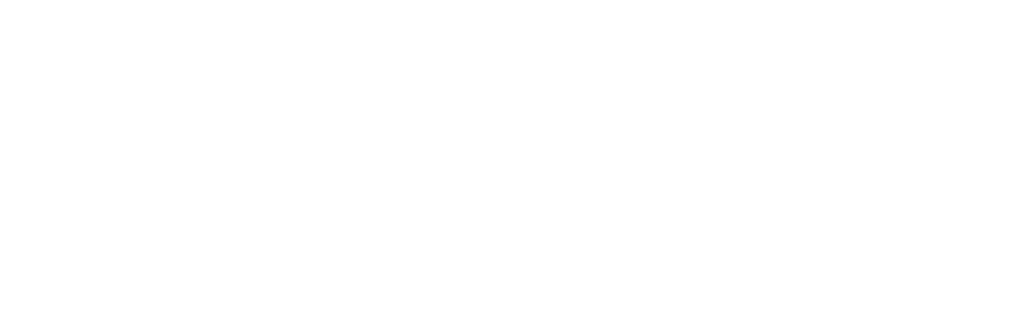 Terralyn Logo Homepage link