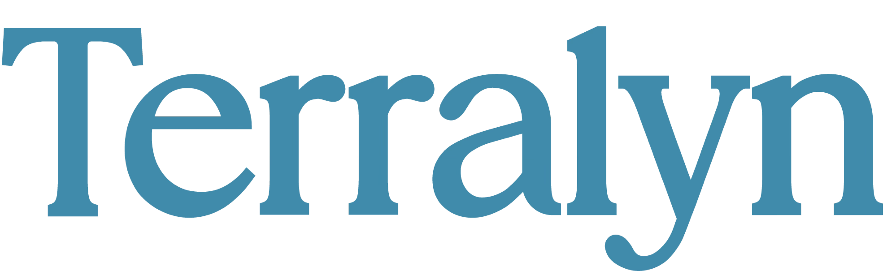 The word 'Terralyn' in large teal serif font on transparent background.