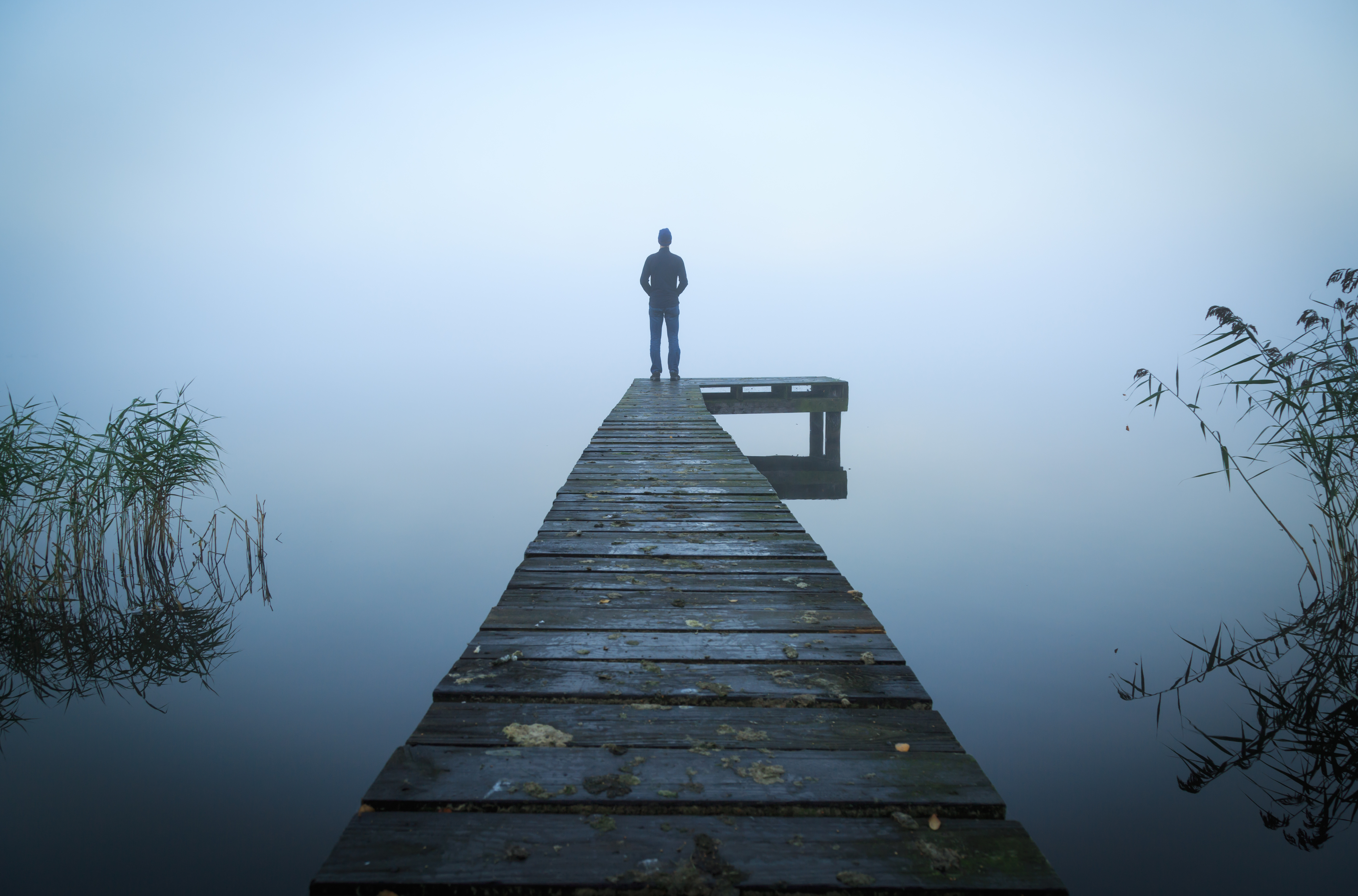 Sunlight shining through a quiet forest, representing EMDR trauma therapy and healing