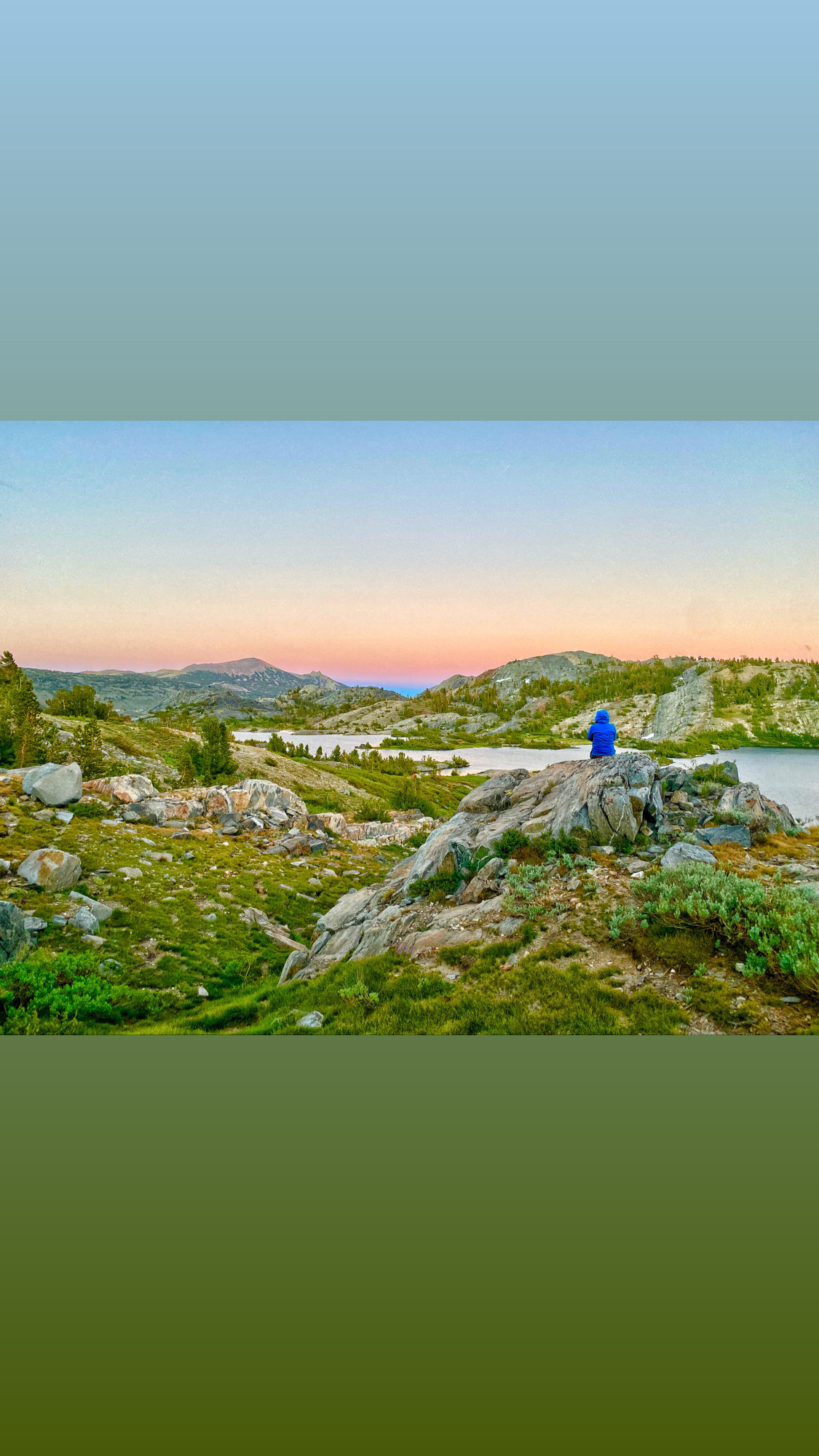 Sunlight shining through a quiet forest, representing EMDR trauma therapy and healing