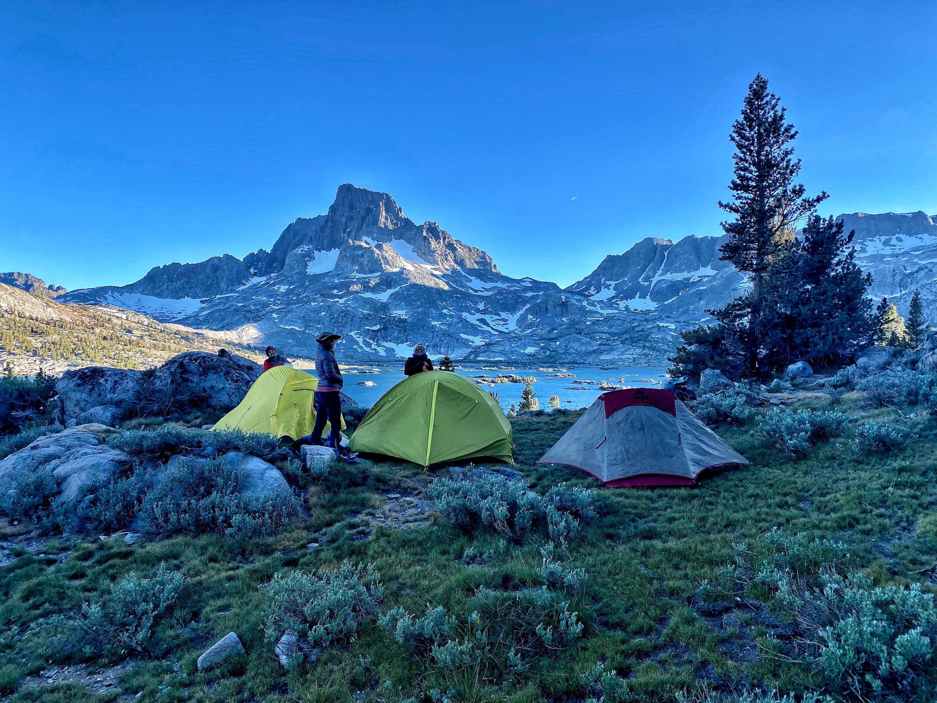 Sunlight shining through a quiet forest, representing EMDR trauma therapy and healing