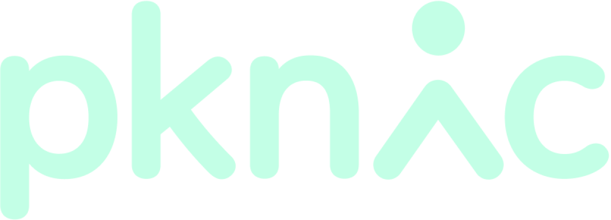 PKNIC Mint Logo
