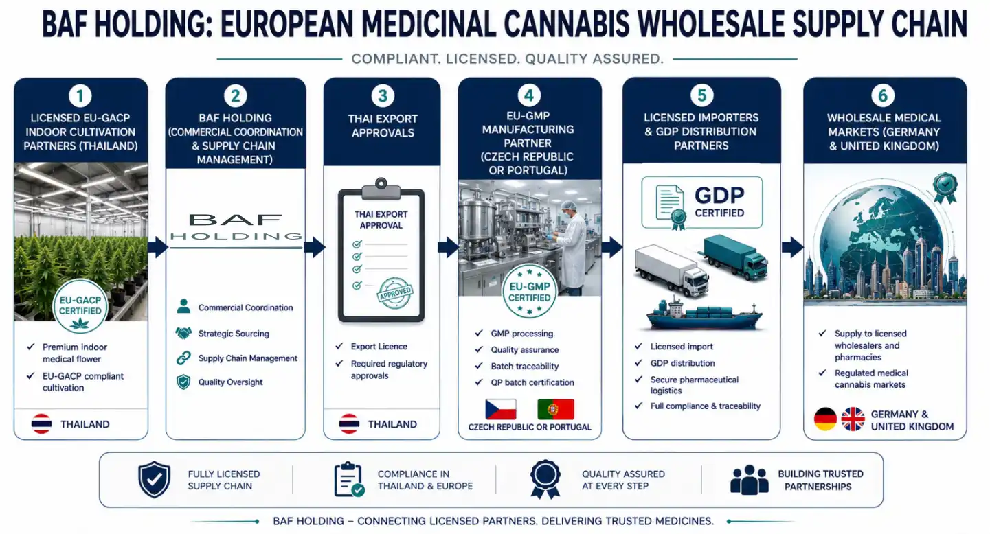 An infographic describing the supply chain of BAF Holding medicinal cannabis supply to European markets
