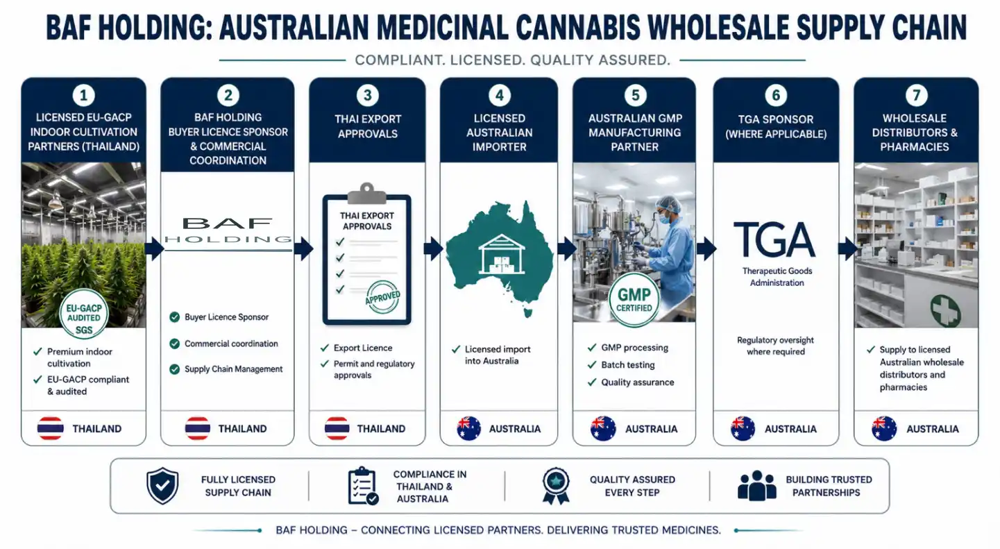 An infographic describing the supply chain of BAF Holding medicinal cannabis supply to the Australian markets