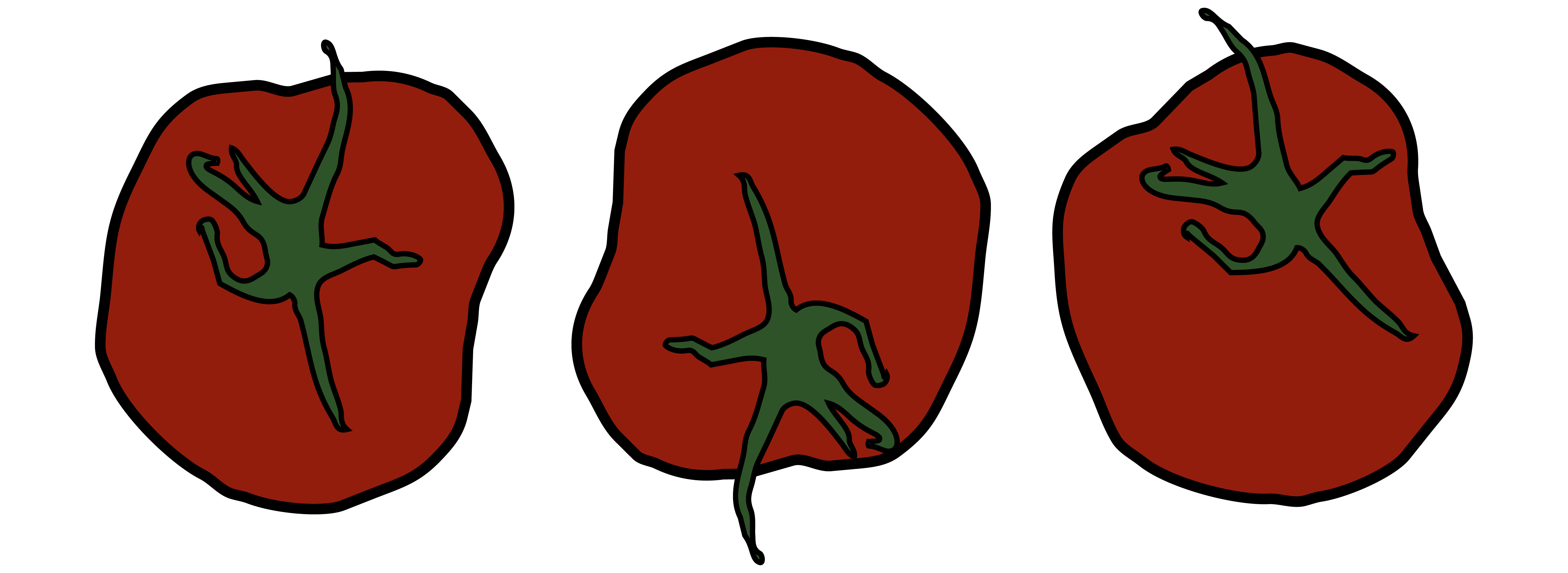 illustration-tomates-fraiches-pomoli