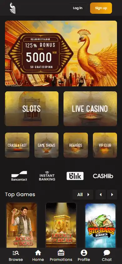 Art Casino Homepage Mobile