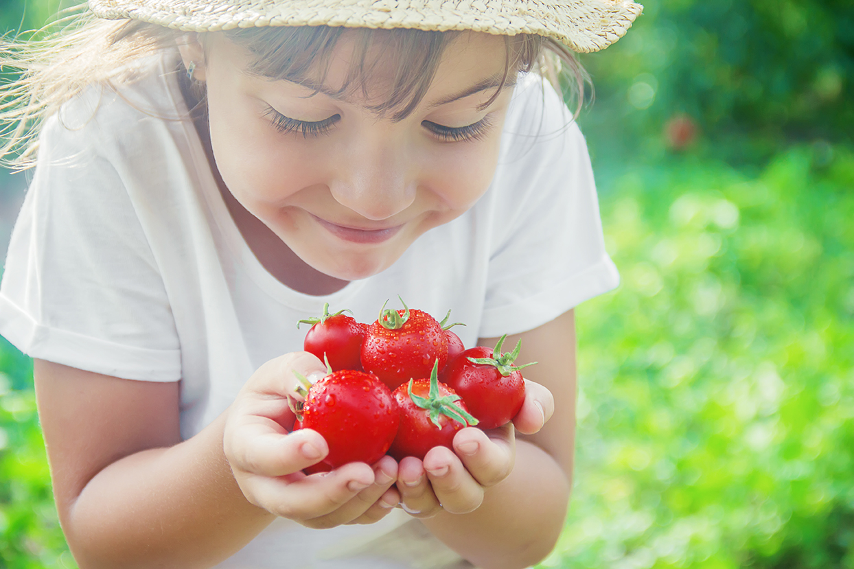 Mädchen mit einer Hand voller roter Tomaten