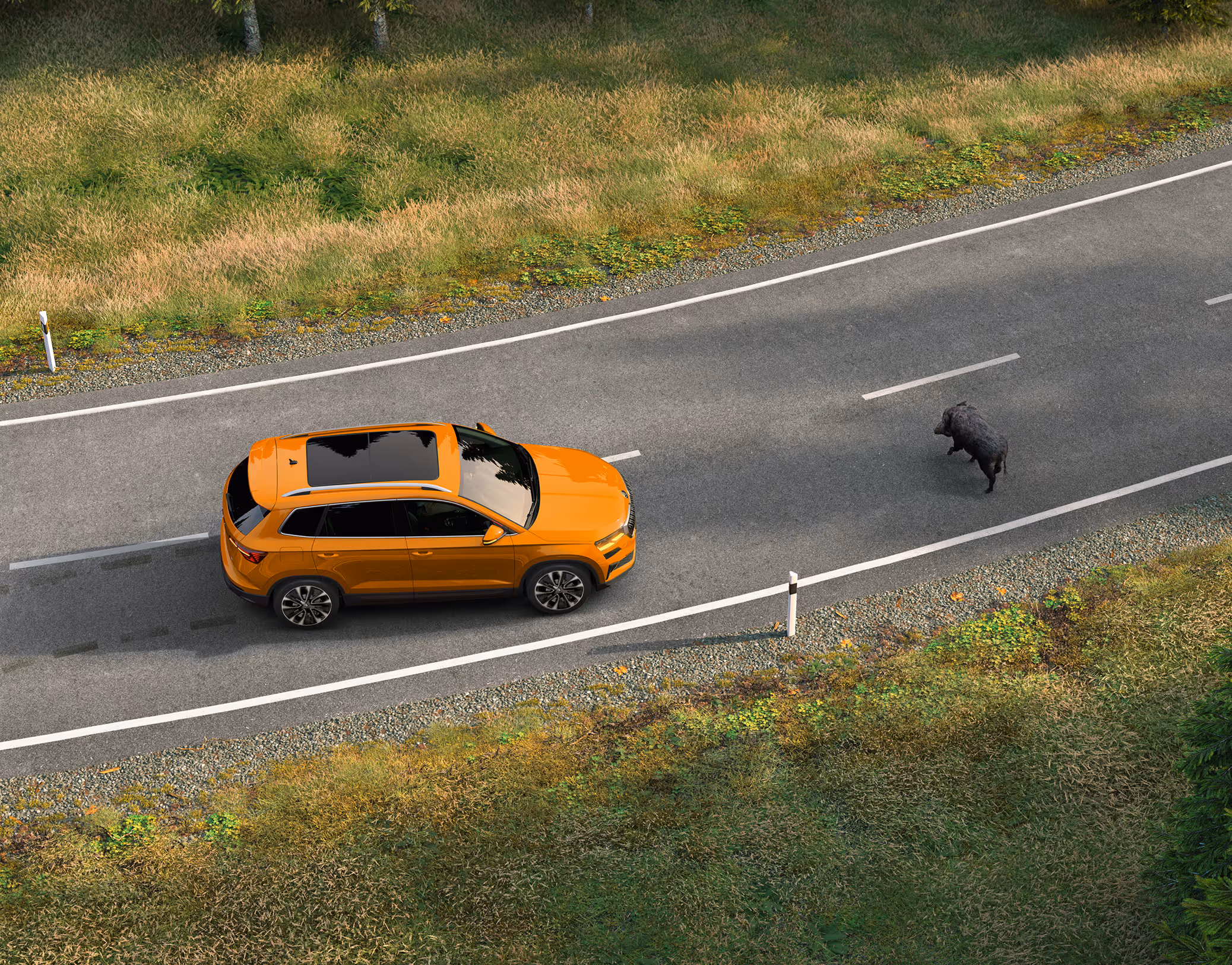 Animation des Proaktiven Insassenschutzes: Ein orangefarbener Škoda Karoq Balance fährt auf einer Landstraße durch einen Wald, als plötzlich ein Wildschwein die Fahrbahn kreuzt.