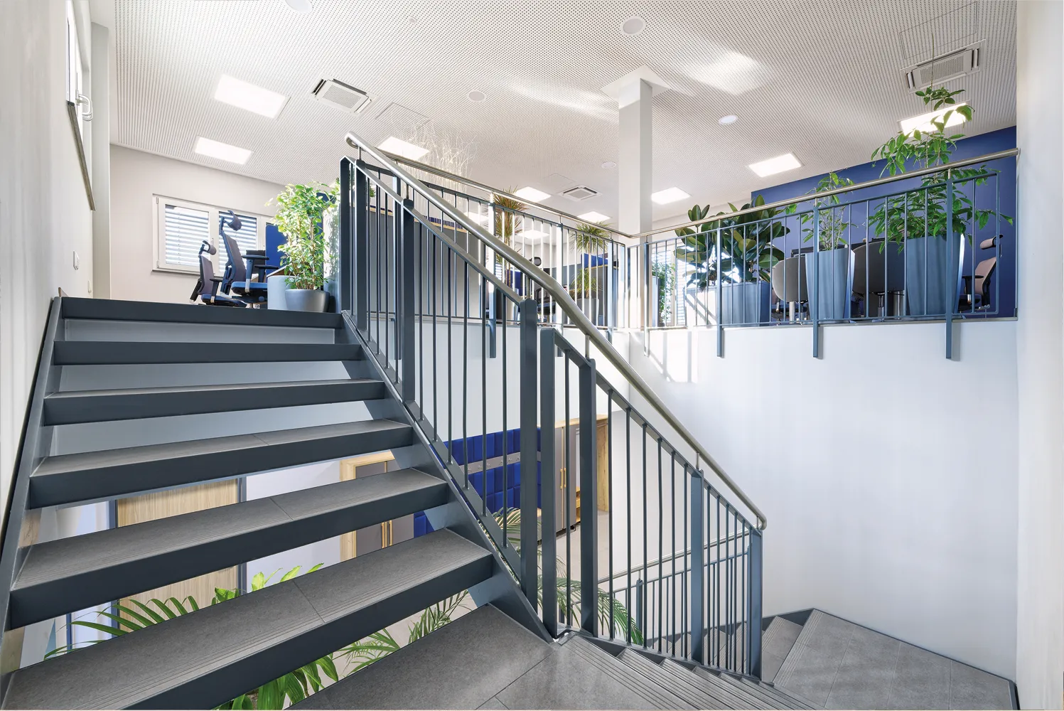 Moderner Treppenaufgang in einem hellen Büro mit blauen Metallgeländern und großen Topfpflanzen.