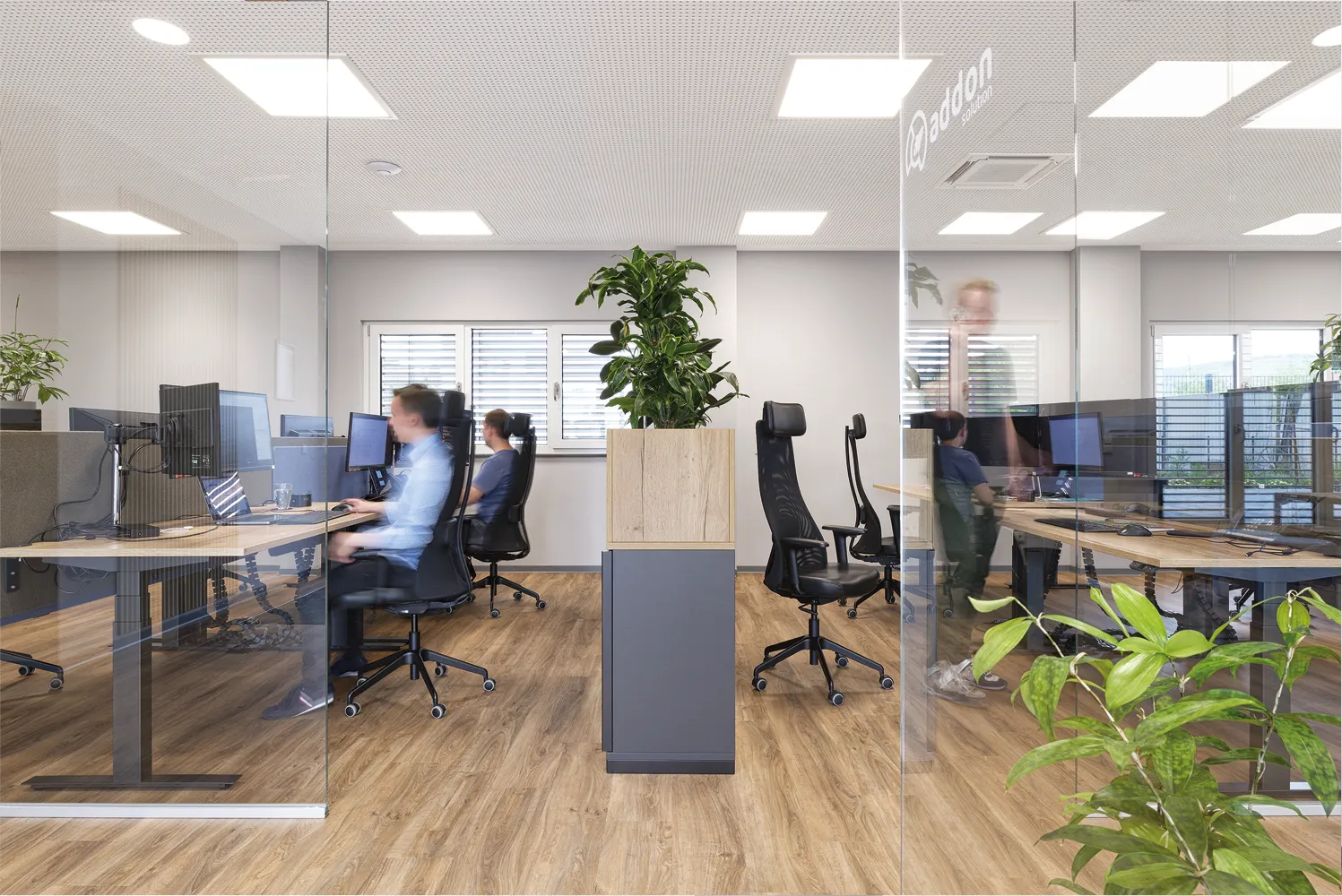 Moderner Büroraum mit Holzfußboden, Glaswänden, ergonomischen Bürostühlen, mehreren Computern und Zimmerpflanzen.