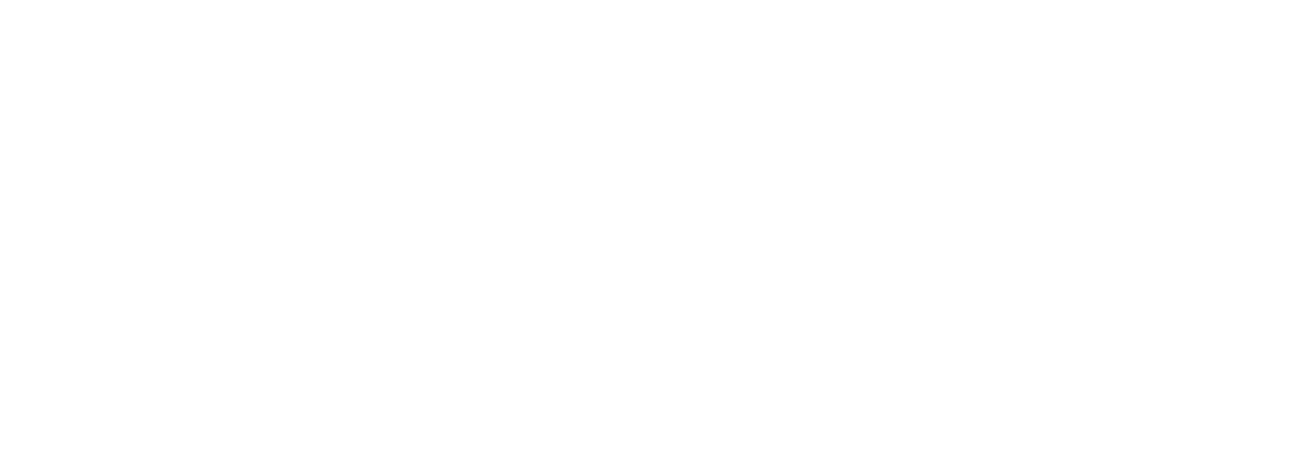 Domar case study