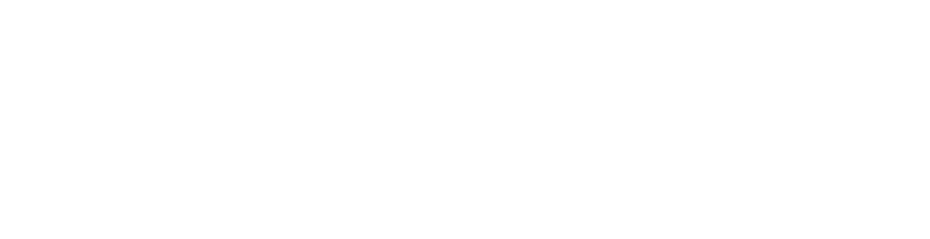 Branża zoologiczna case study
