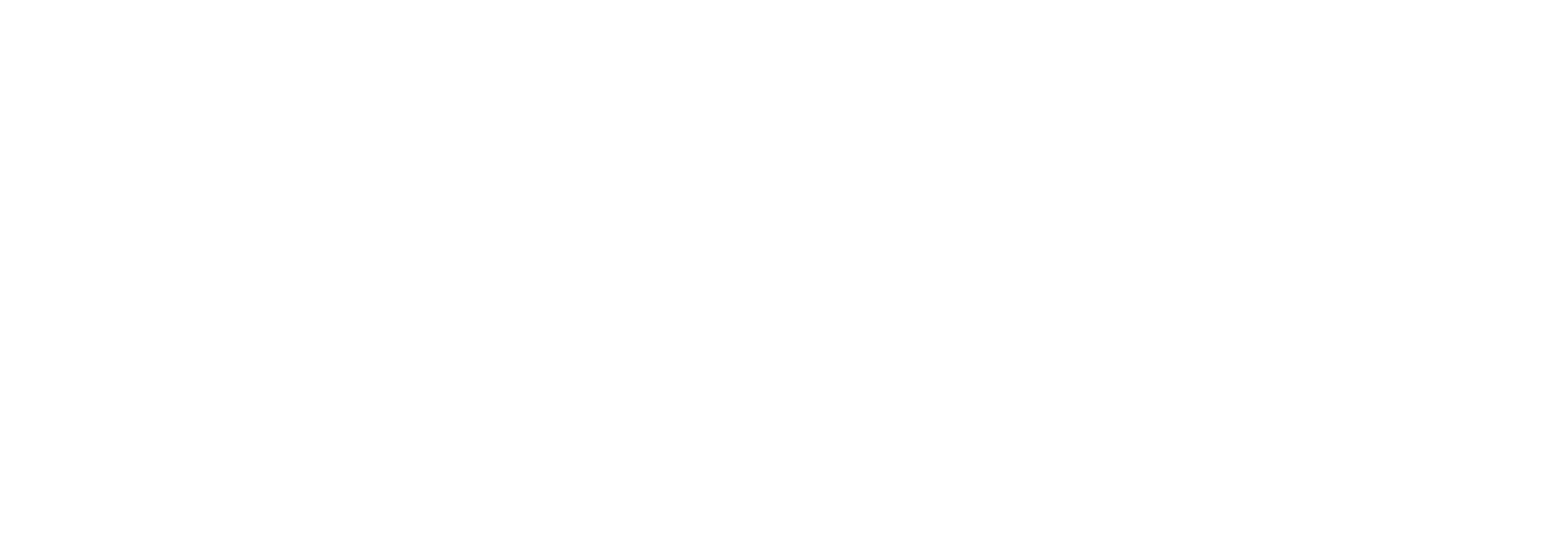 Willish case study