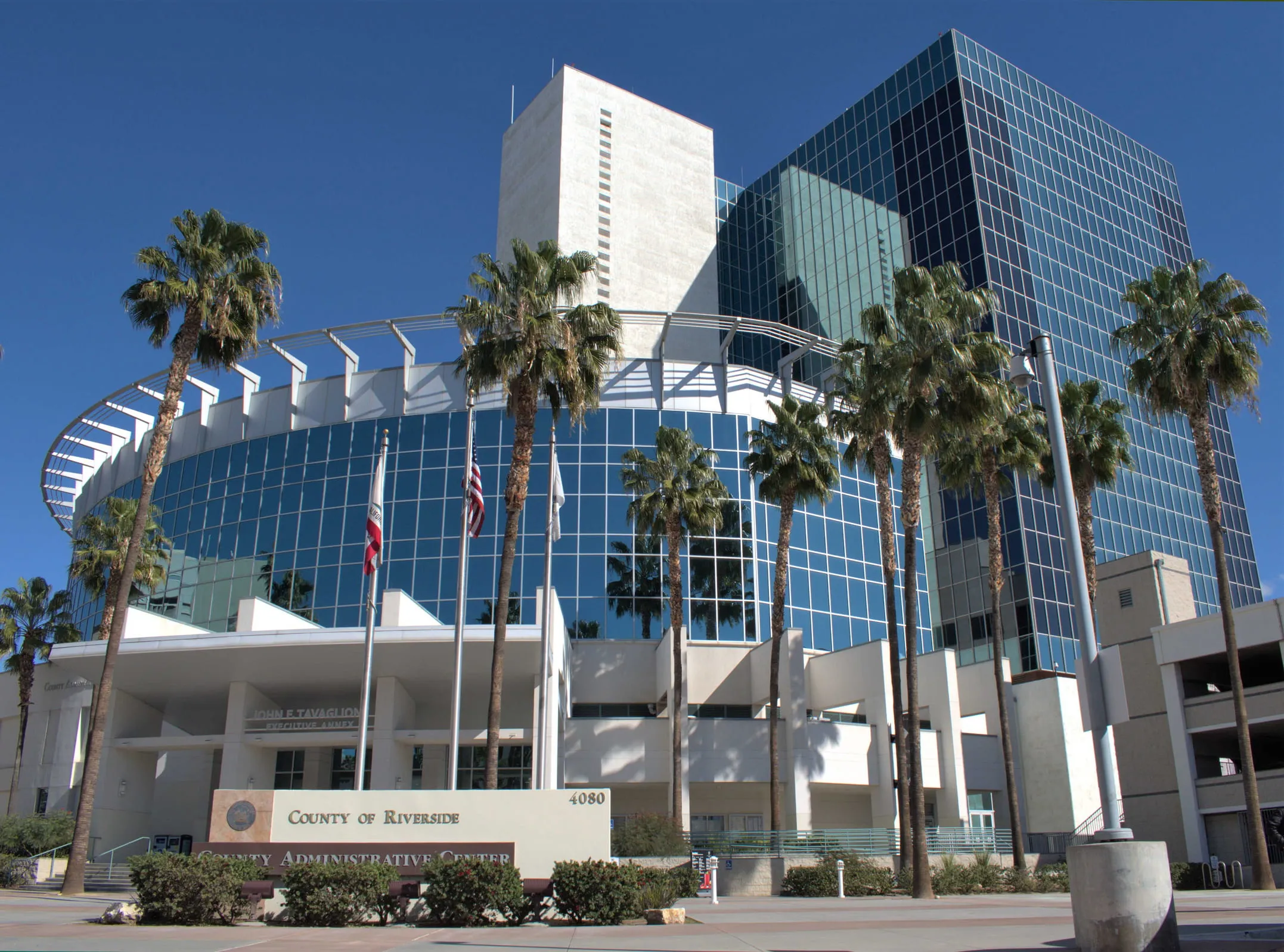Modern glass and concrete County Administrative Center building with palm trees and flags in front under a clear blue sky.