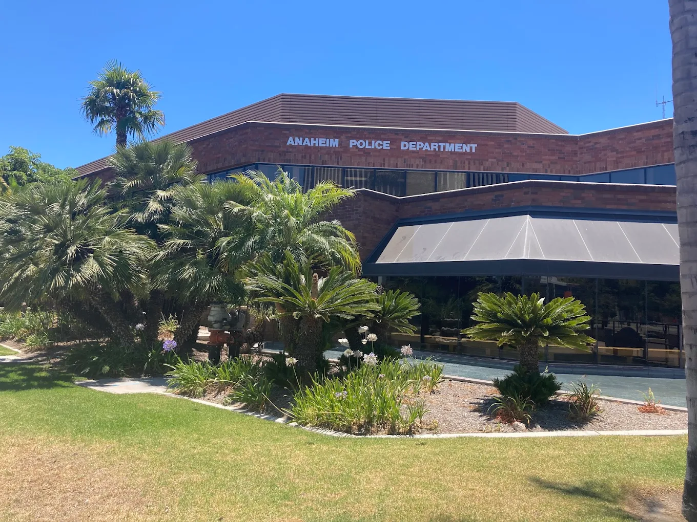 Brick building labeled Anaheim Police Department with palm trees and landscaping in front under a clear blue sky.