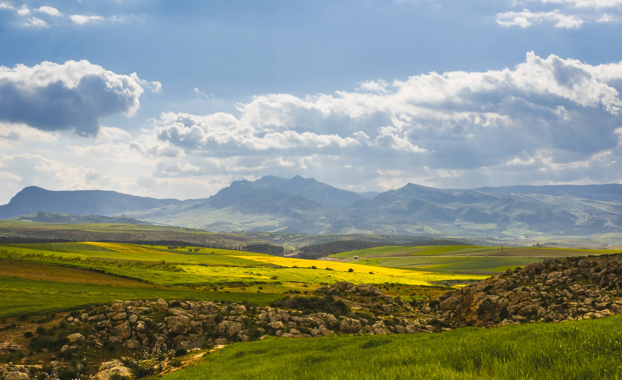 Ifrane entdecken, DE, Ganztägig in Fès: Marokko Ifrane Landschaft