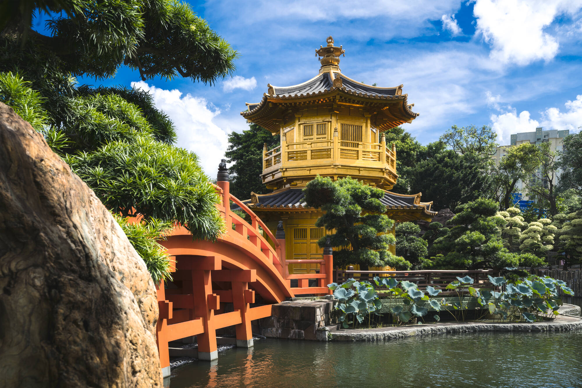 Von Guilins Bergwelten nach Hong Kong ab Shanghai: Hong Kong Nan Lian Garten Goldener Pavillon