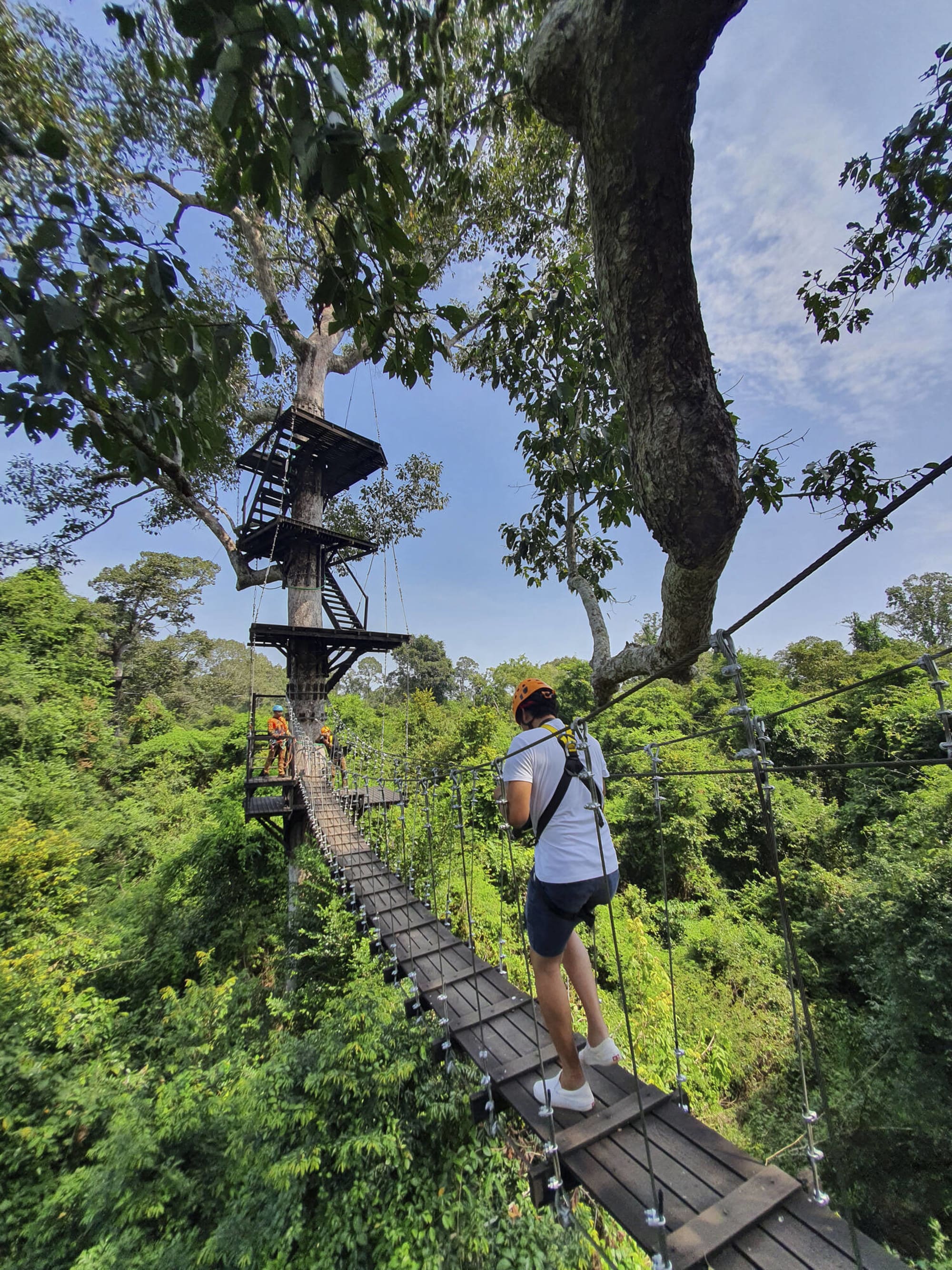 Zipline-Abenteuer in Angkor in Siem Reap: activities: Zipline Abenteuer in Angkor