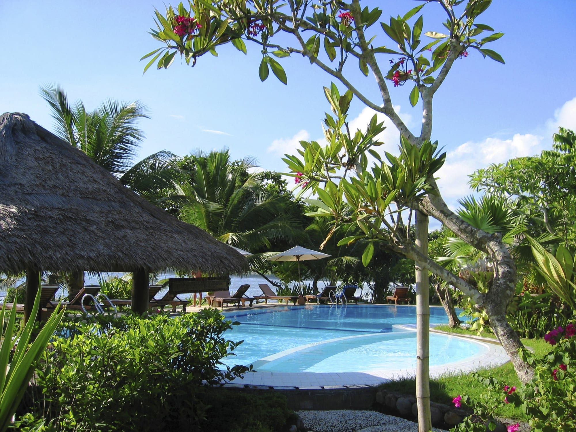 Puri Dajuma Beach Eco-Resort & Spa in West-Bali: Bali Puri Dajuma Cottages Pool