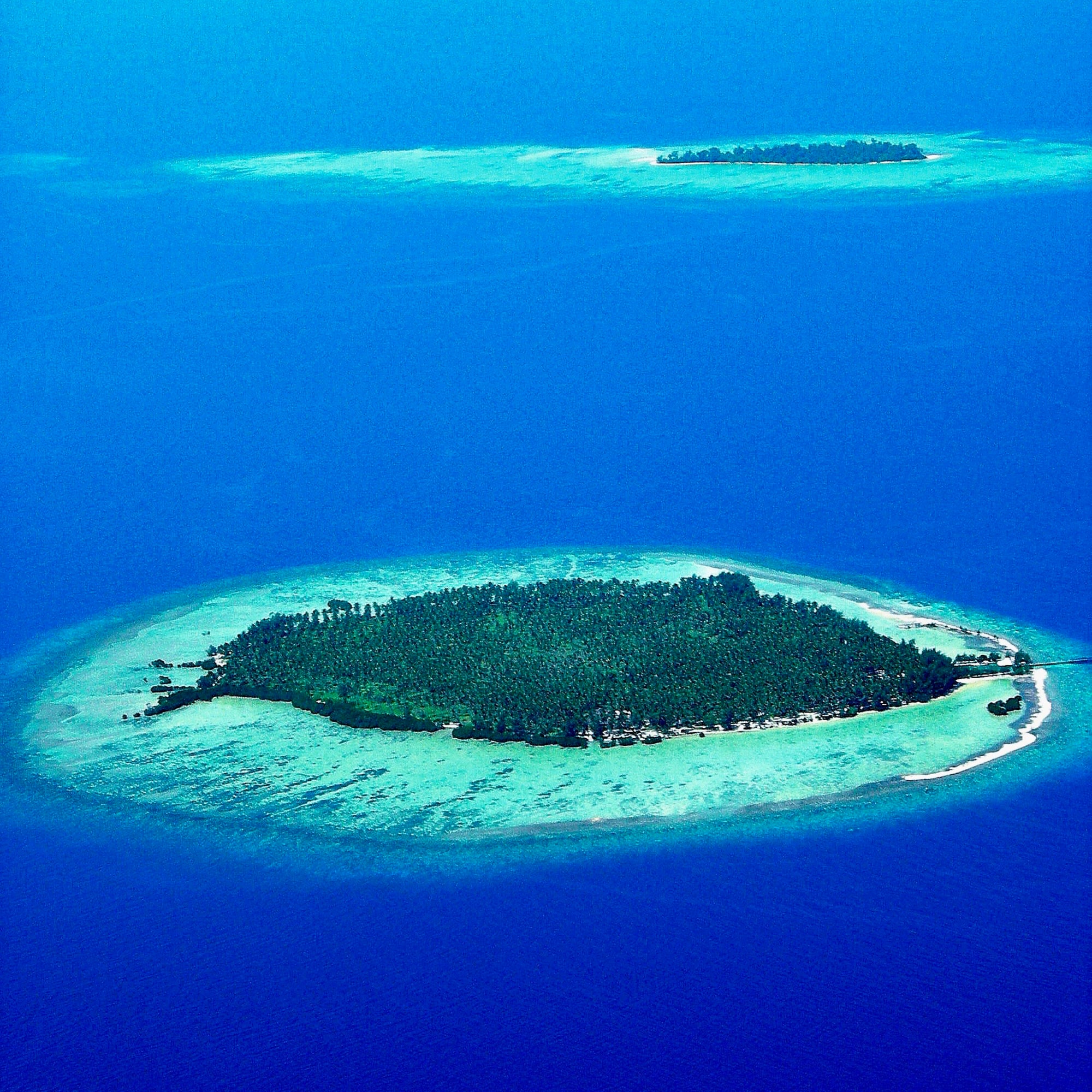 Kura Kura Resort in Karimunjawa: Indonesien Kura Kura Resort Island