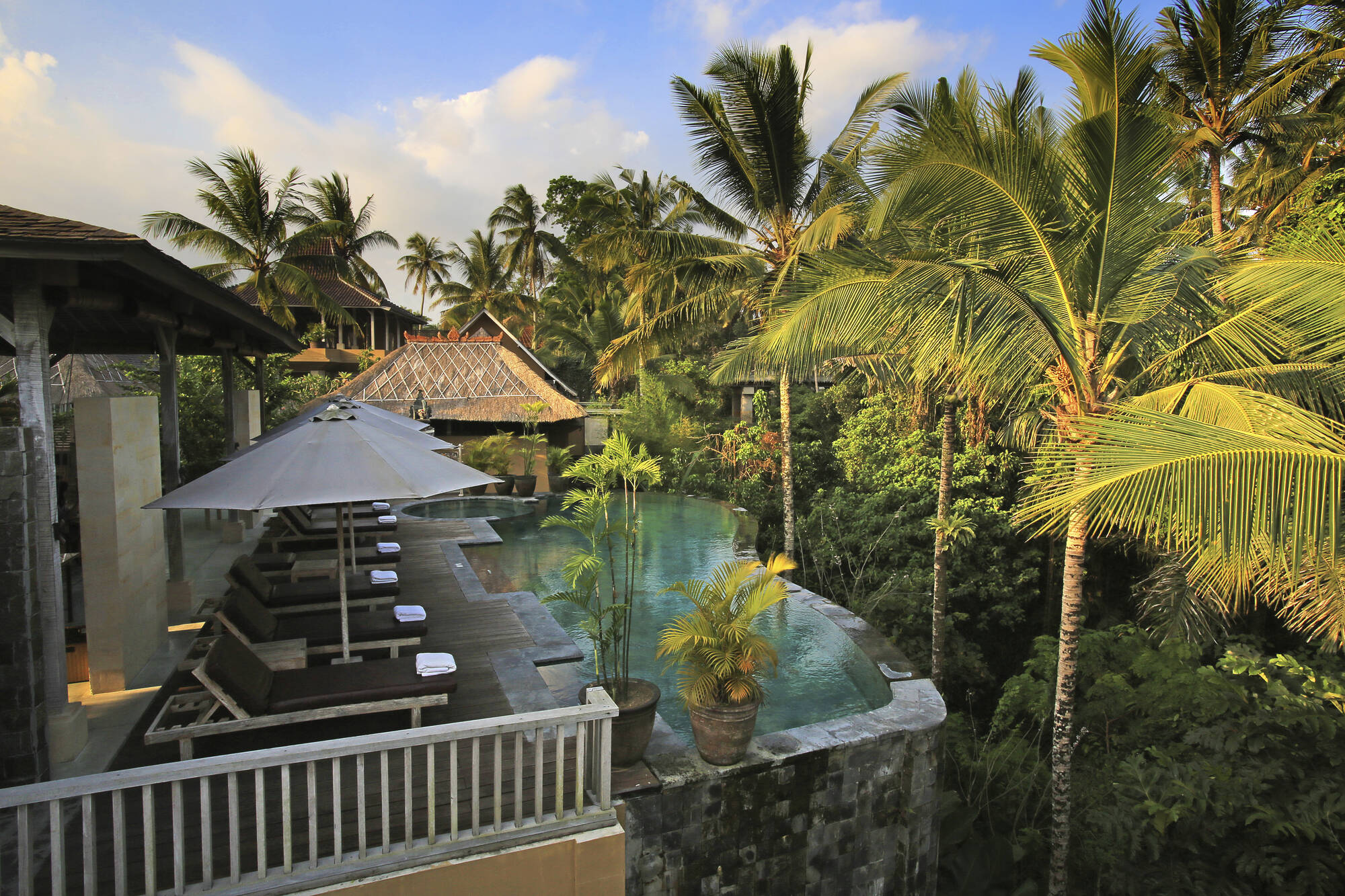 Wapa di Ume Resort & Spa Ubud in Zentral-Bali | Ubud: Wapa di Ume Resort and Spa Ubud - Pool