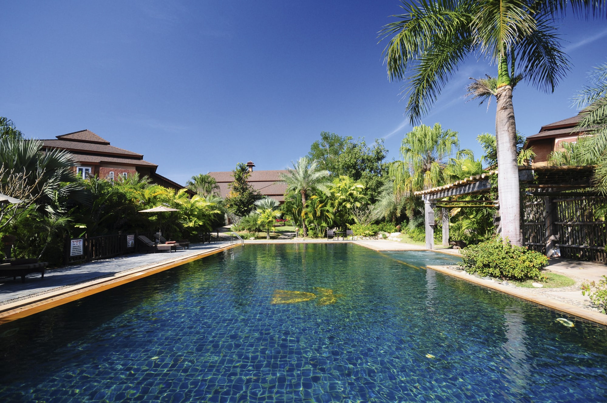 Katiliya Mountain Resort in Chiang Rai: Chiang Rai Katiliya Mountain Resort Pool