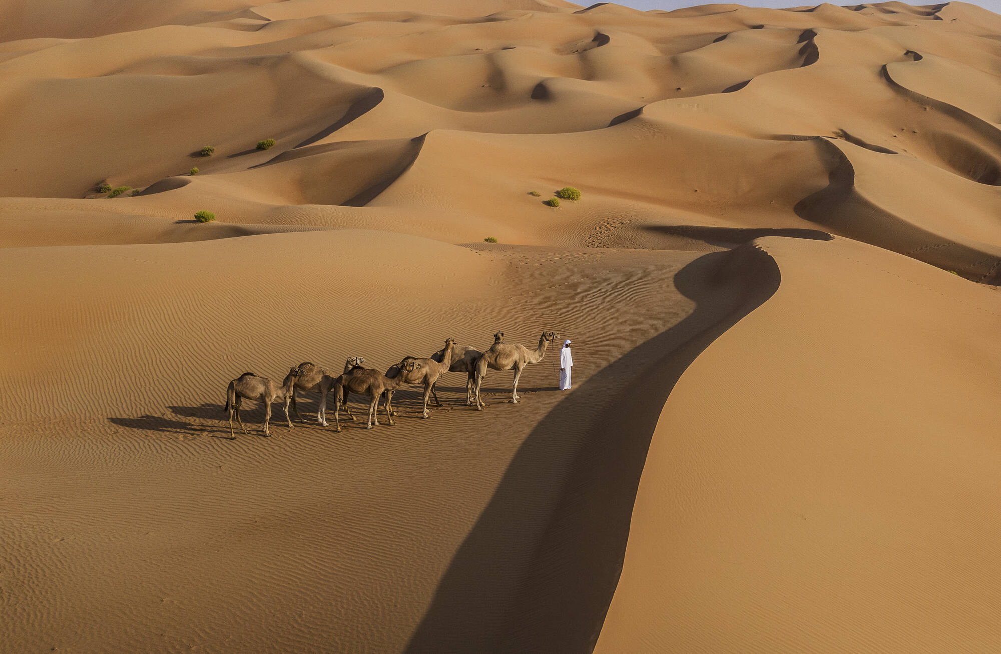 Anantara Qasr Al Sarab Desert Resort in Abu Dhabi: Anantara Qasr Al Sarab Desert Resort