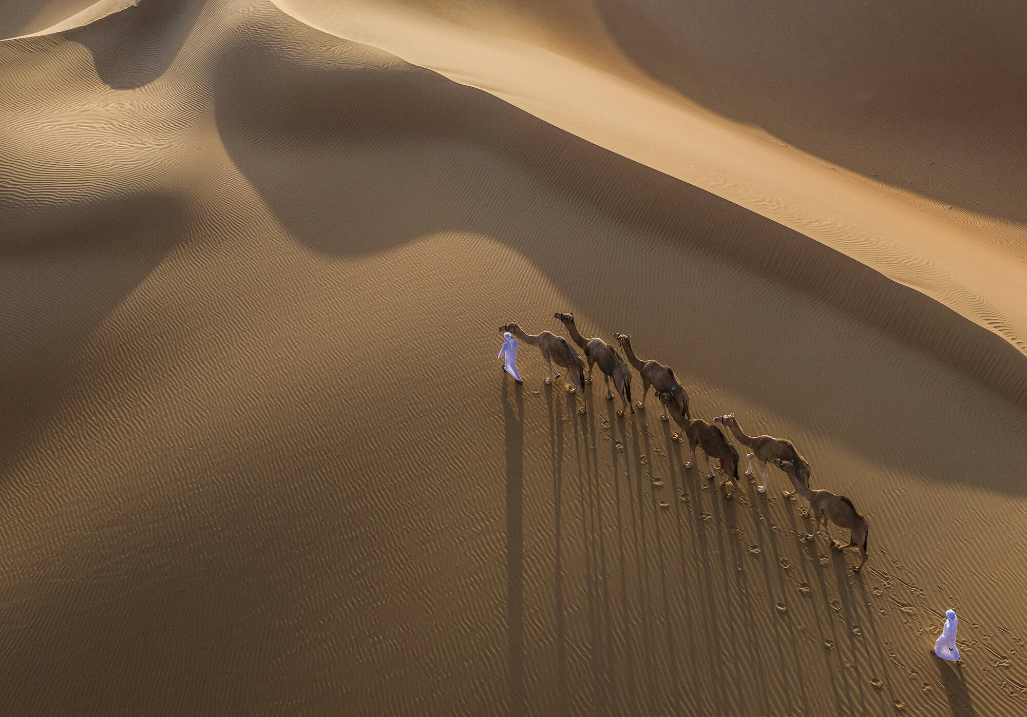 Anantara Qasr Al Sarab Desert Resort in Abu Dhabi: Anantara Qasr Al Sarab Desert Resort