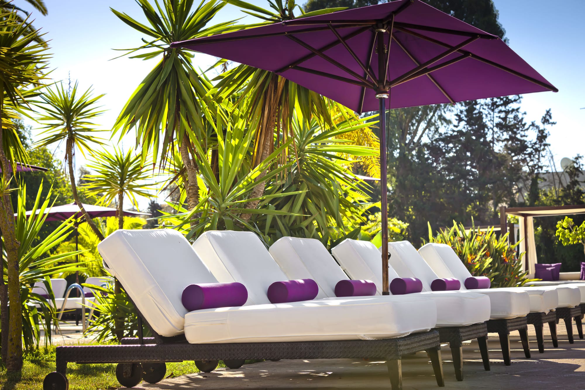 Sofitel Jardin des Roses in Rabat: Rabat Sofitel Jardin des Roses