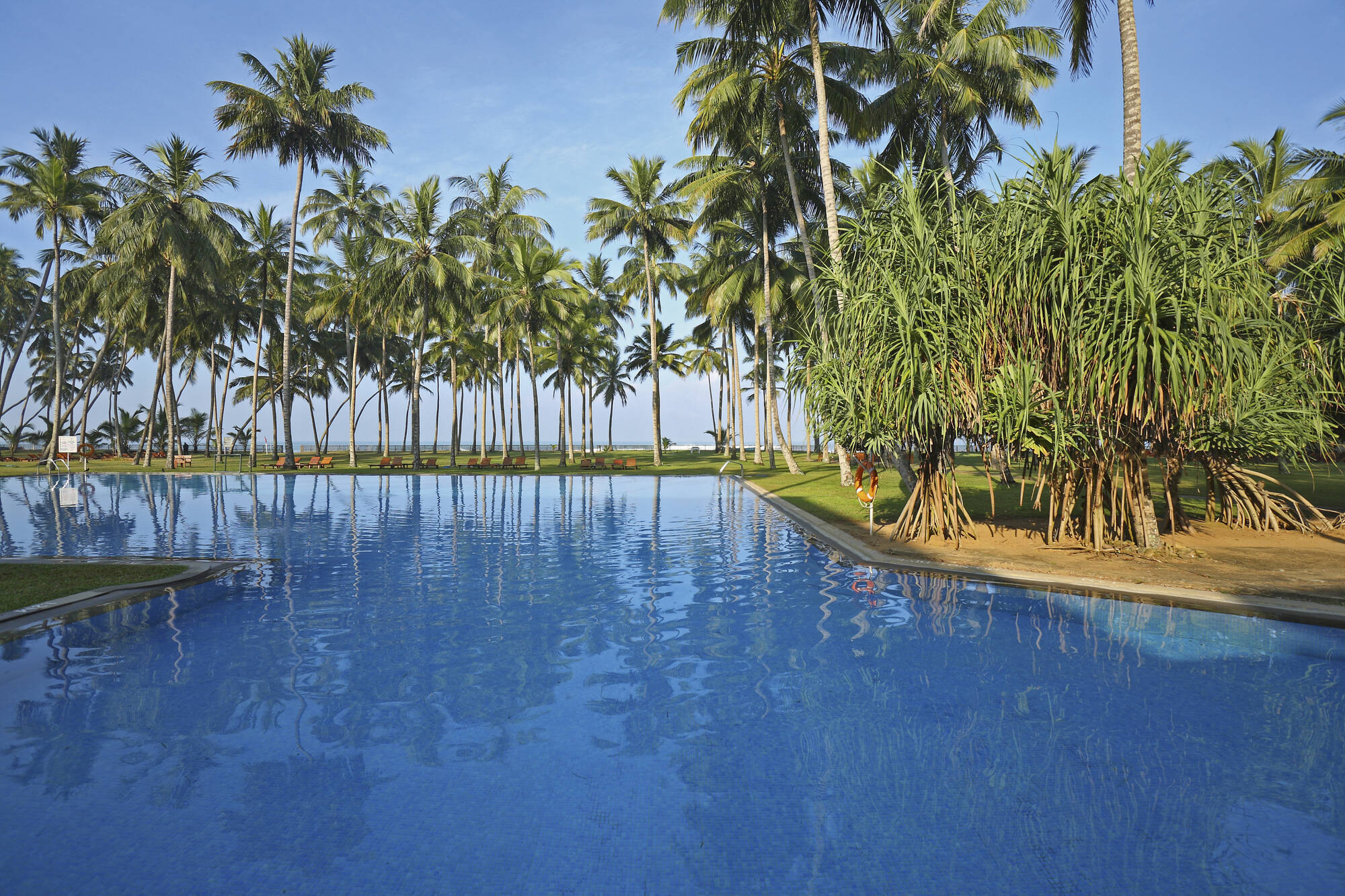 The Blue Water in Westküste: Sri Lanka The Blue Water Pool