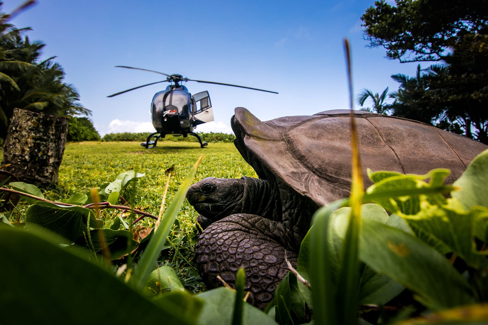 NIVA Labriz Seychelles in Outer Islands: Hilton Seychelles Labriz - Grand Barbe Heli