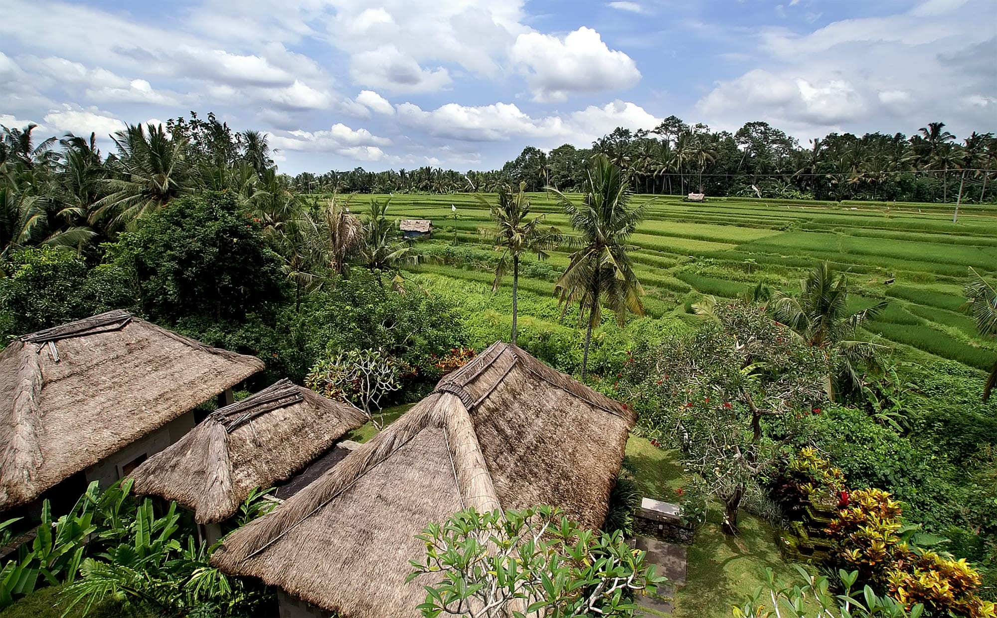 Maya Ubud Resort & Spa in Zentral-Bali | Ubud: May Ubud Resort and Spa